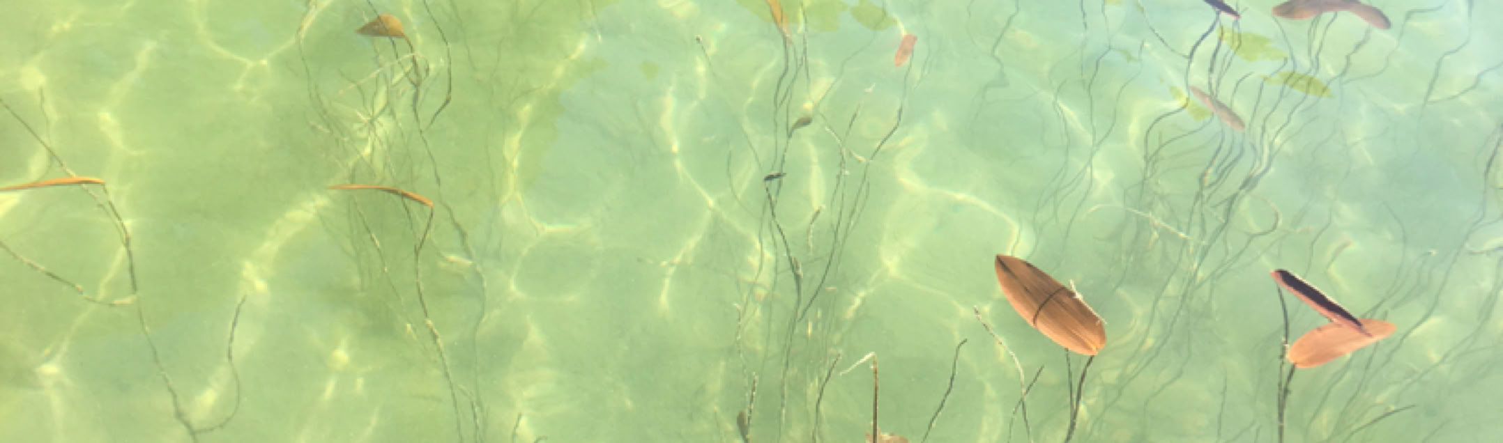 Little McGreggor Lake